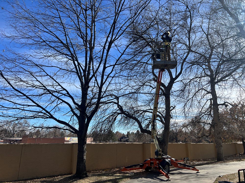 Christmas Light Installation