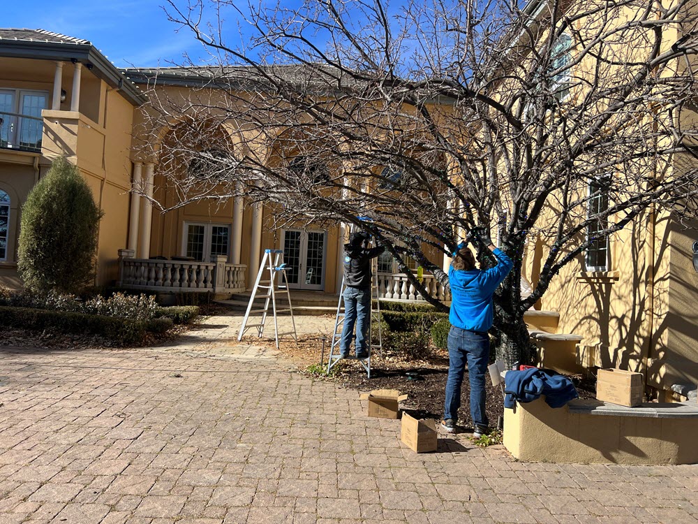 Christmas Light Installation